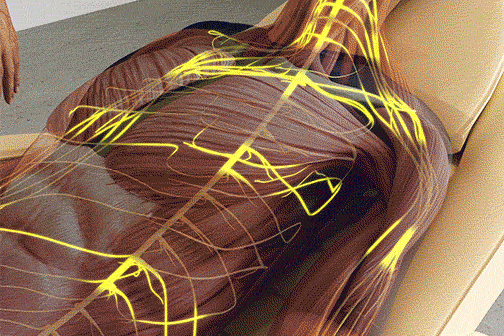 Animation-NESA-Therapy NESA Therapy Animation