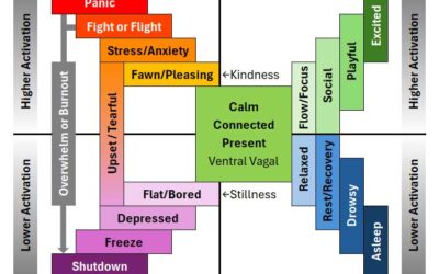 The Nervous System Map: A New Way to Understand Your States
