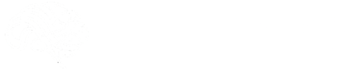 Neurosoma-Menu-Logo Neurosoma Logo